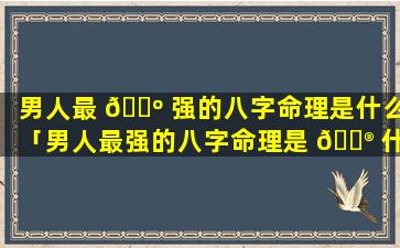 男人最 🌺 强的八字命理是什么「男人最强的八字命理是 💮 什么样的」